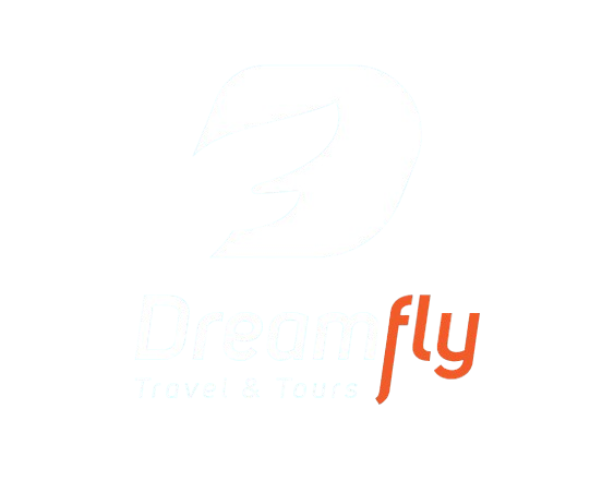 dreamfly logo